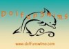 Dolfun Swims Logo